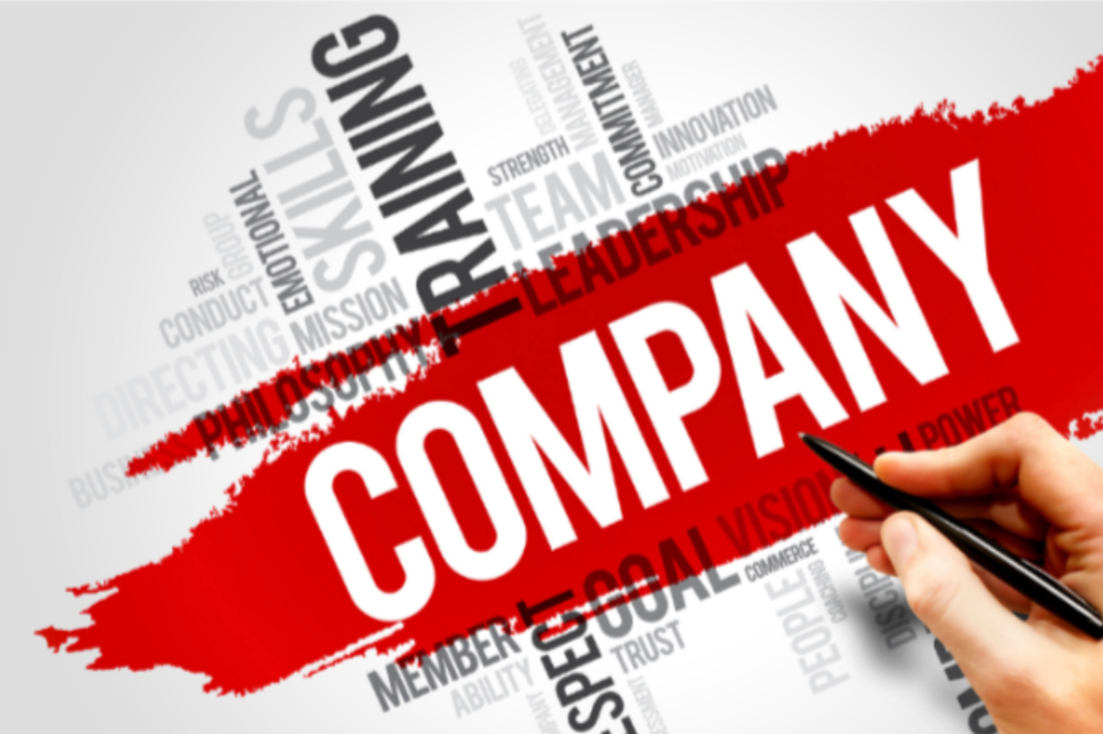 an overview of sole traders and limited companies